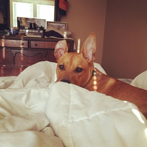 Meet your Posher, James - Picture 1 of 1